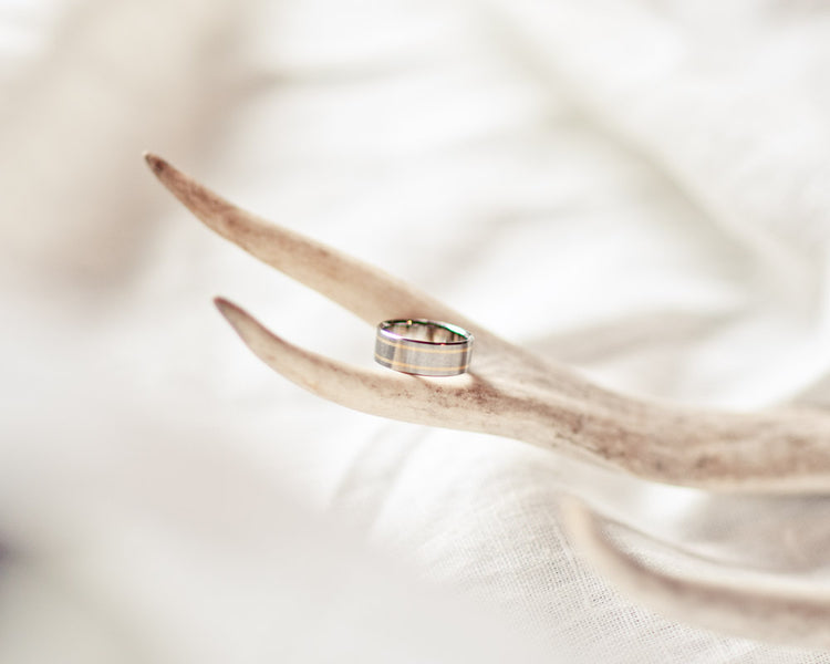 Titanium ring with gold inlay